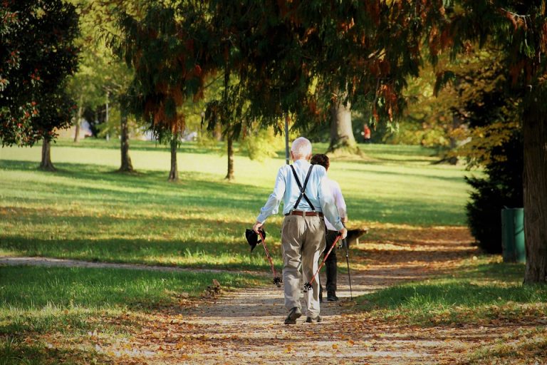 nordic walking - chodzenie z kijami